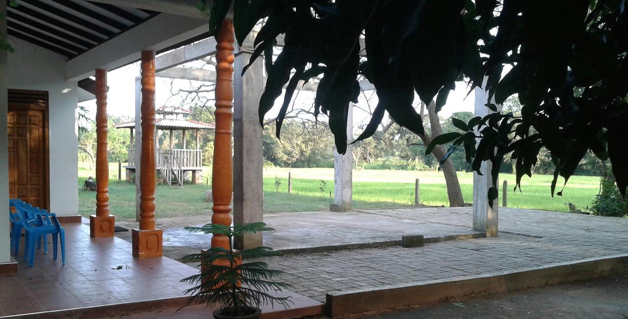 فندق Willpattu Wild Watch Habawewa المظهر الخارجي الصورة