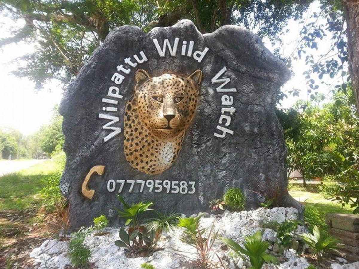 فندق Willpattu Wild Watch Habawewa المظهر الخارجي الصورة