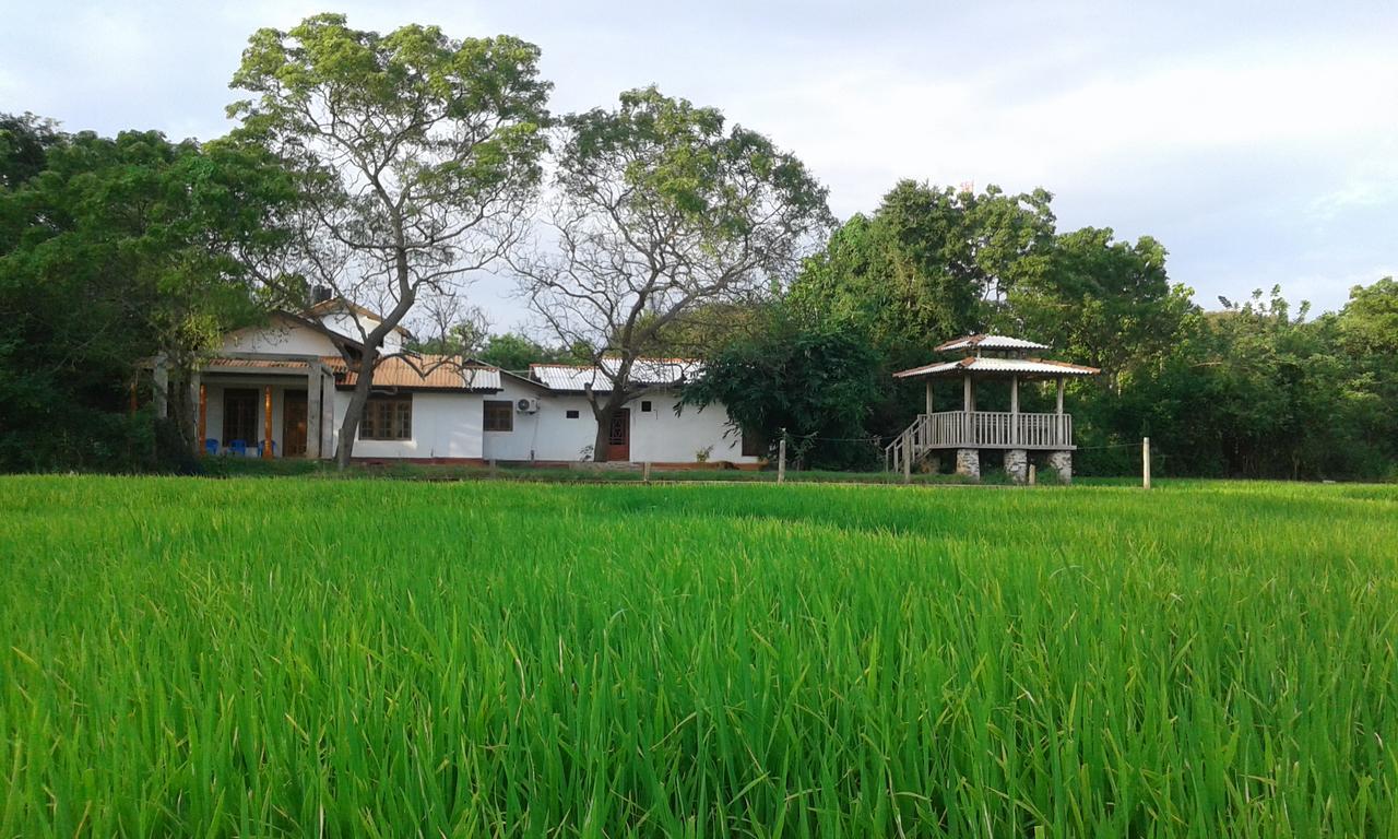 فندق Willpattu Wild Watch Habawewa المظهر الخارجي الصورة