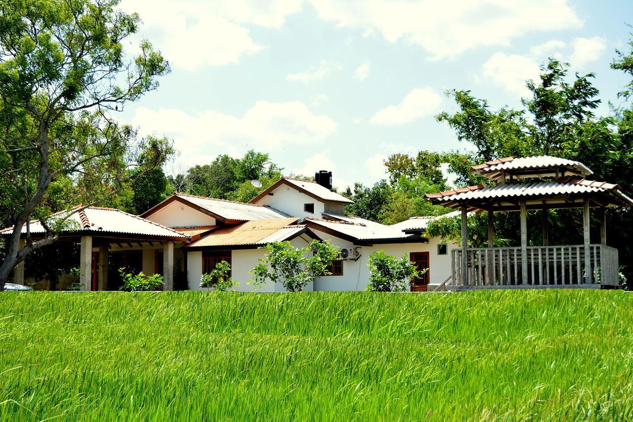 فندق Willpattu Wild Watch Habawewa المظهر الخارجي الصورة